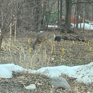 Meet your Posher, Roger